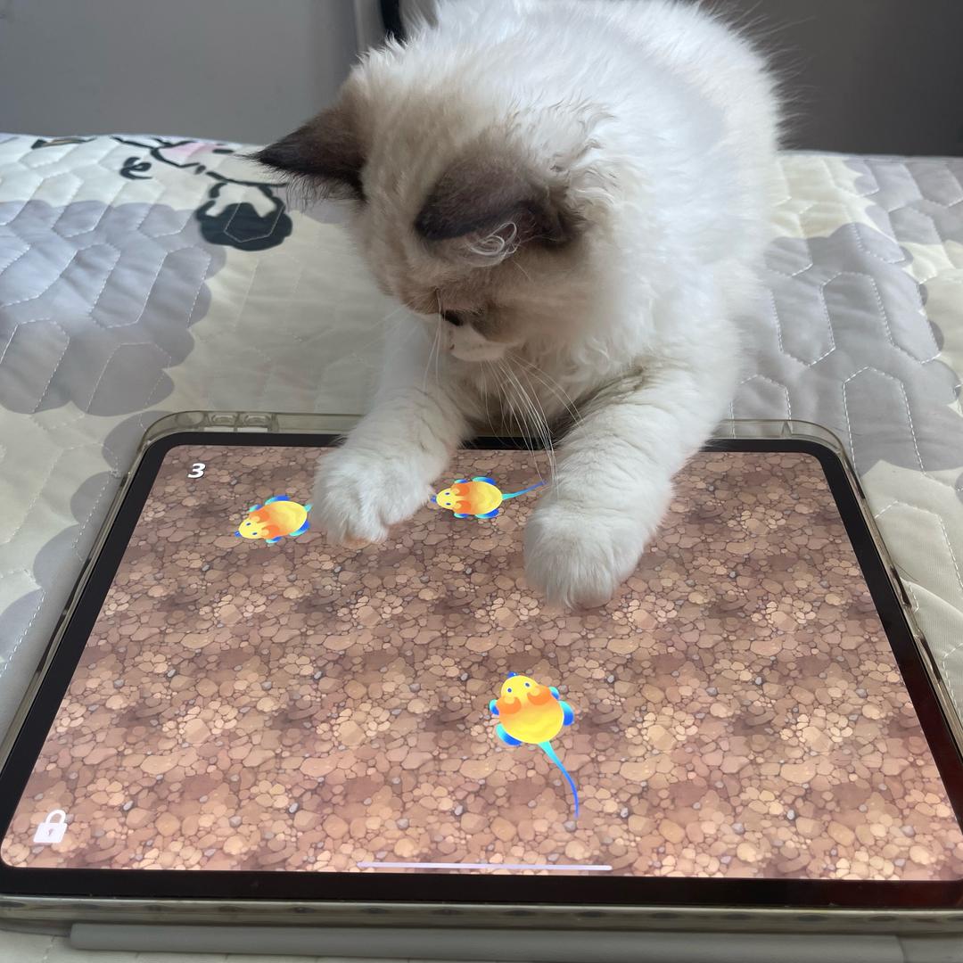 YY宝和妮蛋的日常