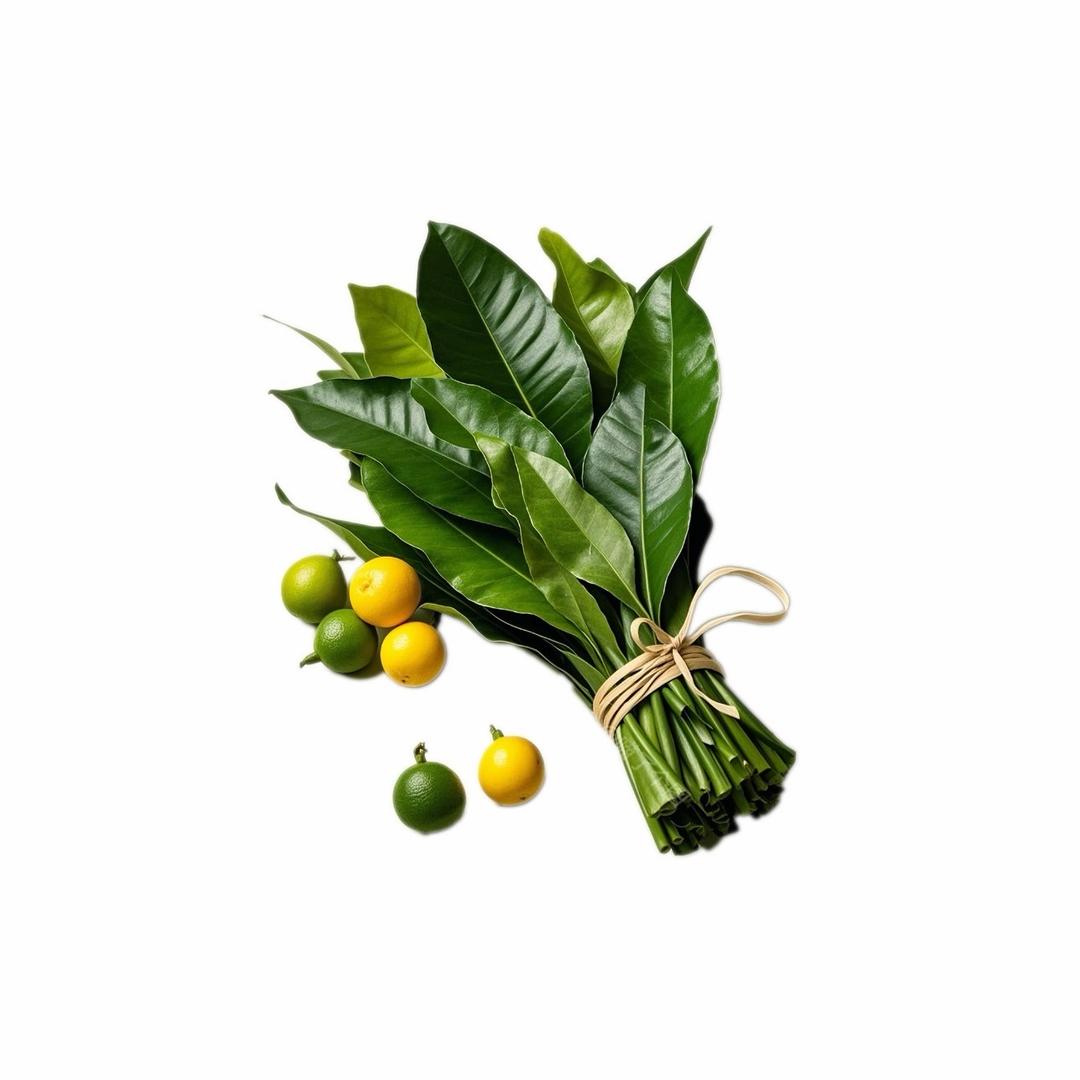 凉拌青瓜🥒