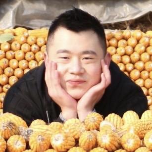 澳多多色彩（网课）