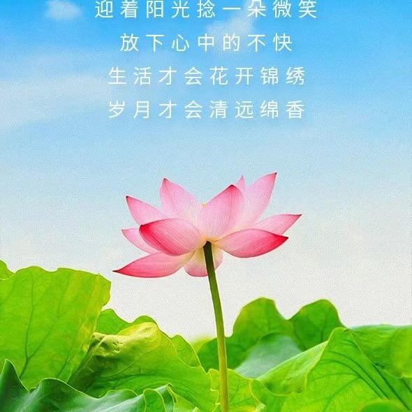 玲儿飞翔555