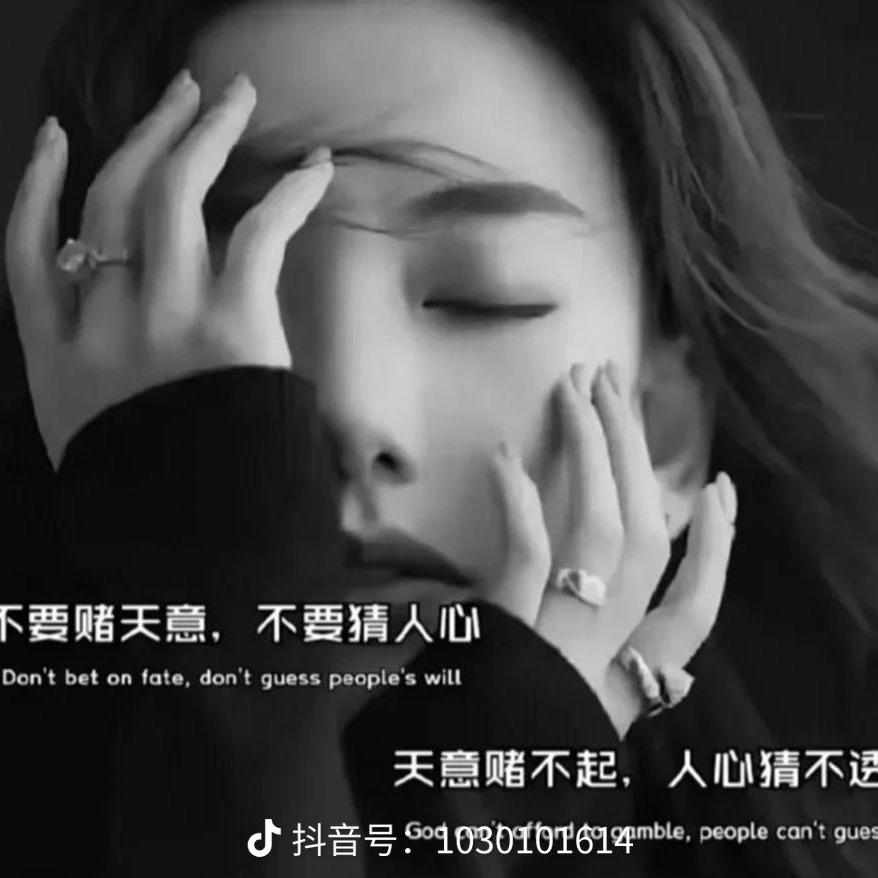 蒙城黄牛肉！批发零售