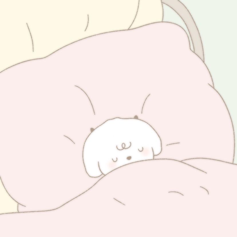 D-Q-
