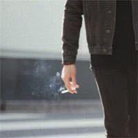 随🚬风