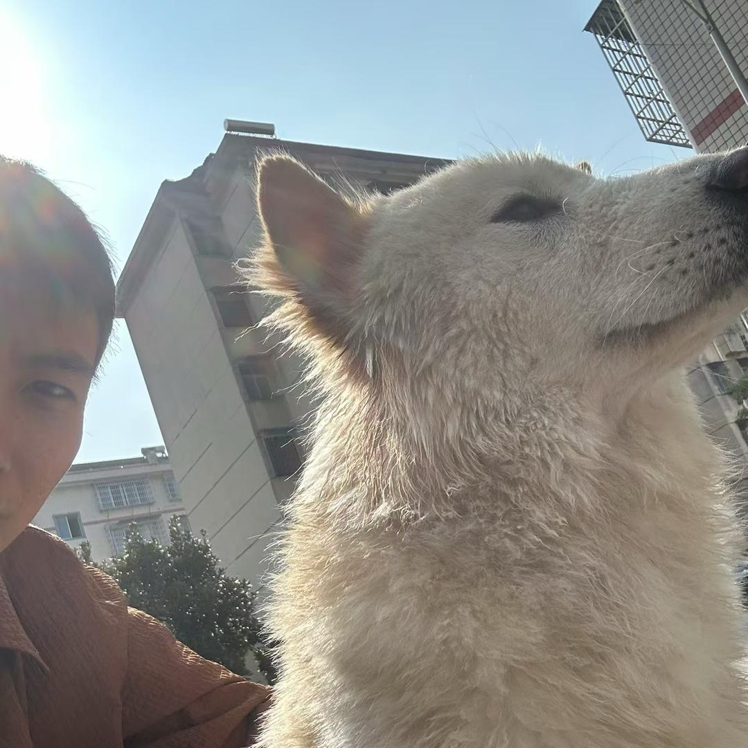 巴陵下小雨🌧️