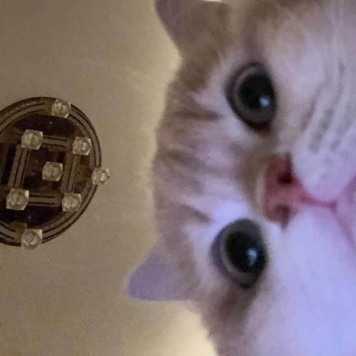文青