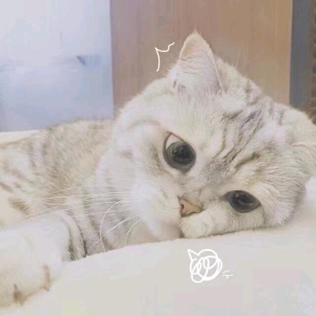 哑巴叔