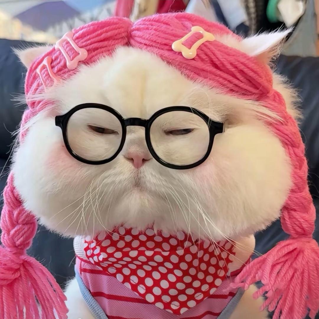 🧸ྀི谭莹. 🪬