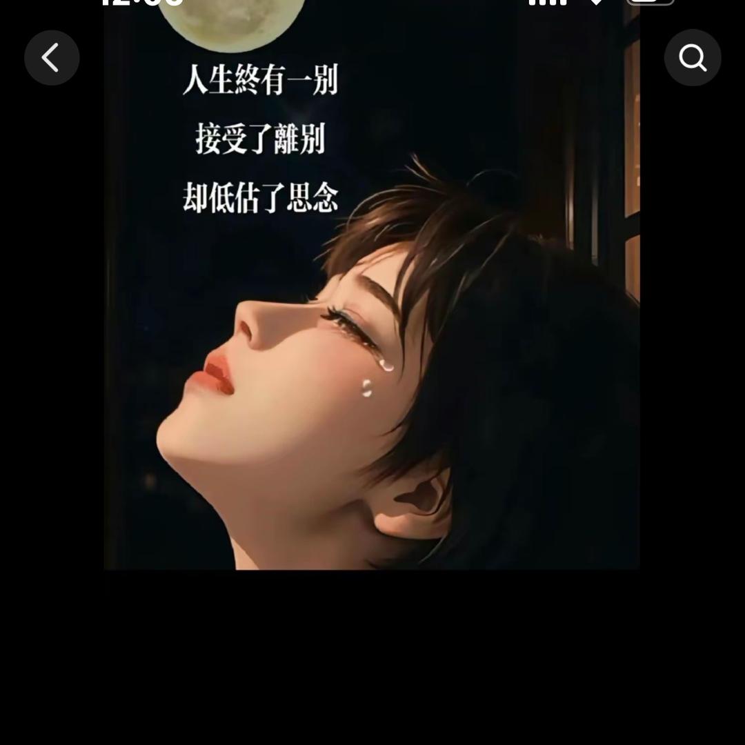 和星星道个晚安.✨