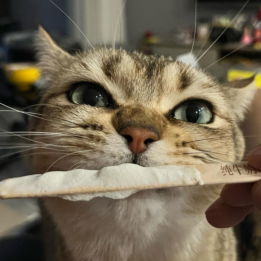 柒诺