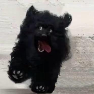 孟德福