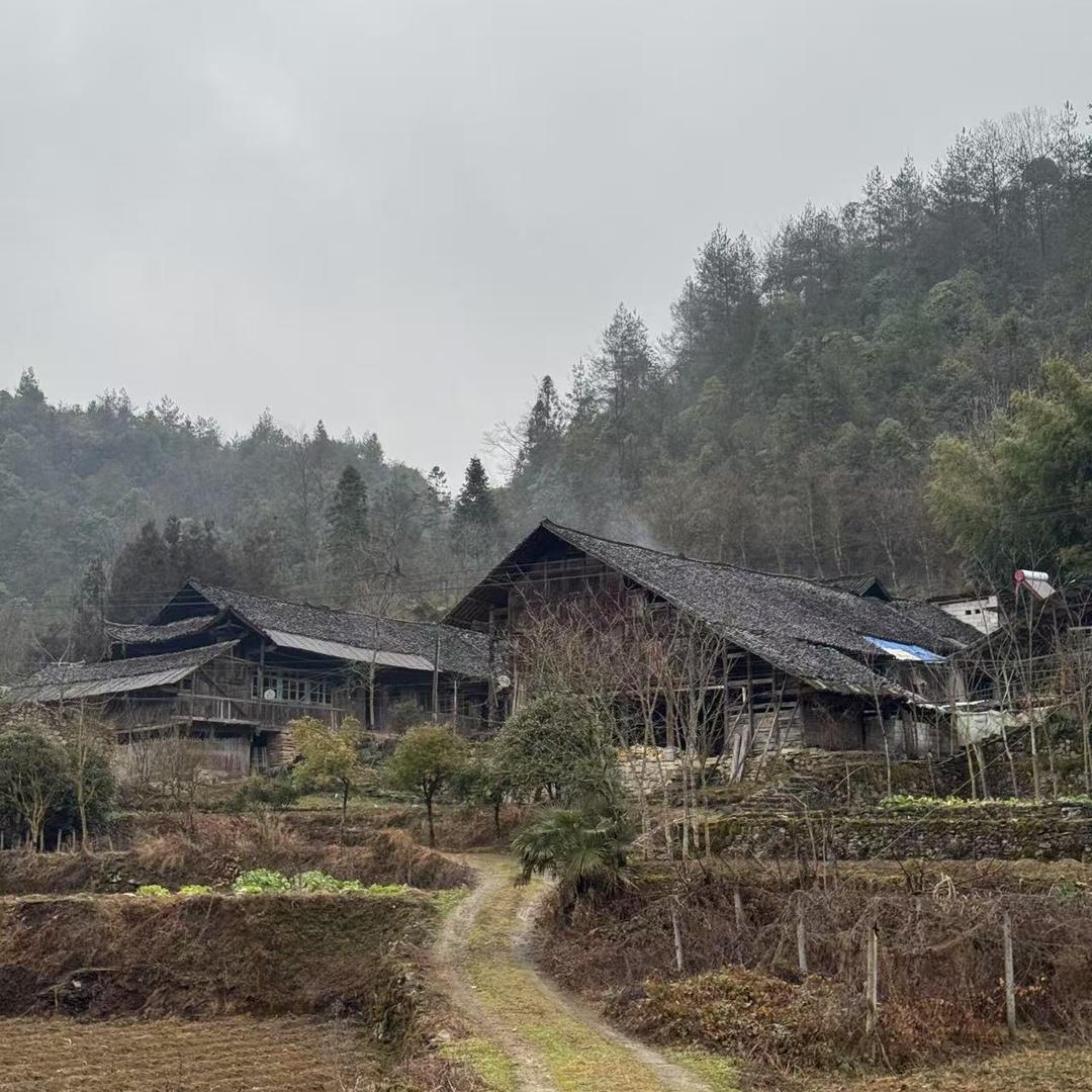 干饭农民合作社