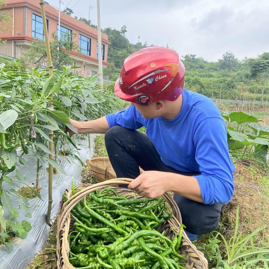摩托哥农产品小号