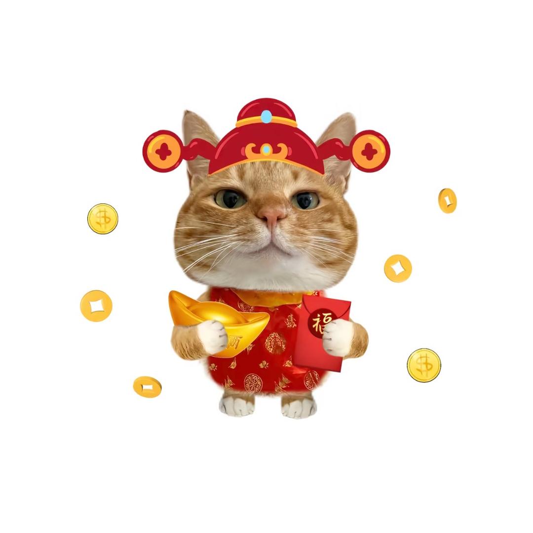 gnitayoahz