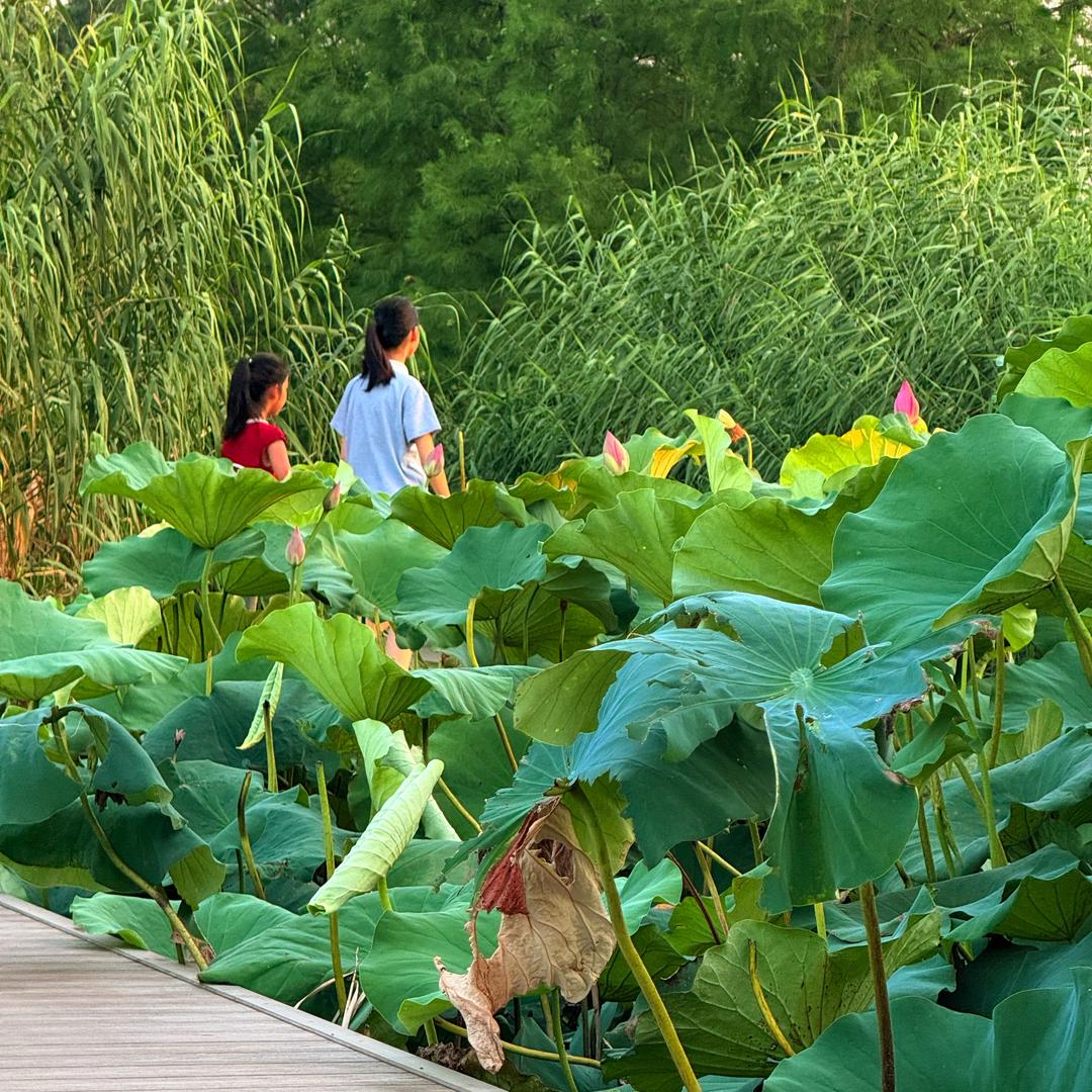 在家吃喝玩乐😄😄😄😄（拒绝连赞）