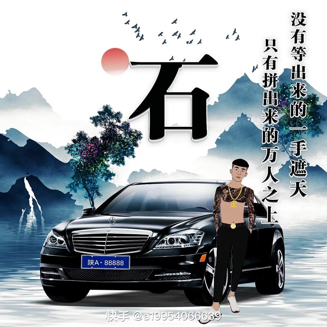 亮5118新能源包牌特价车