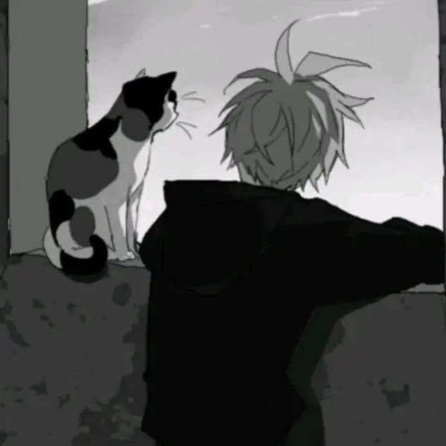 栗悟饭和龟波功