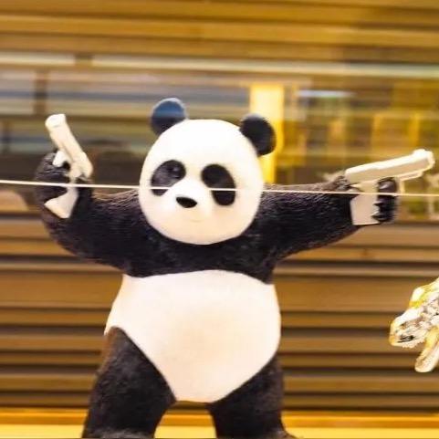 杨大大