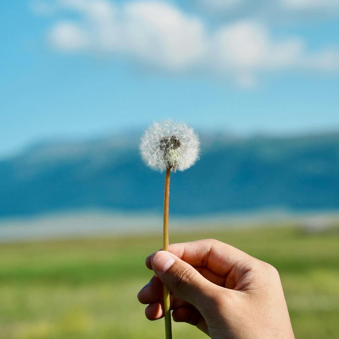 田田田的日常上网冲浪