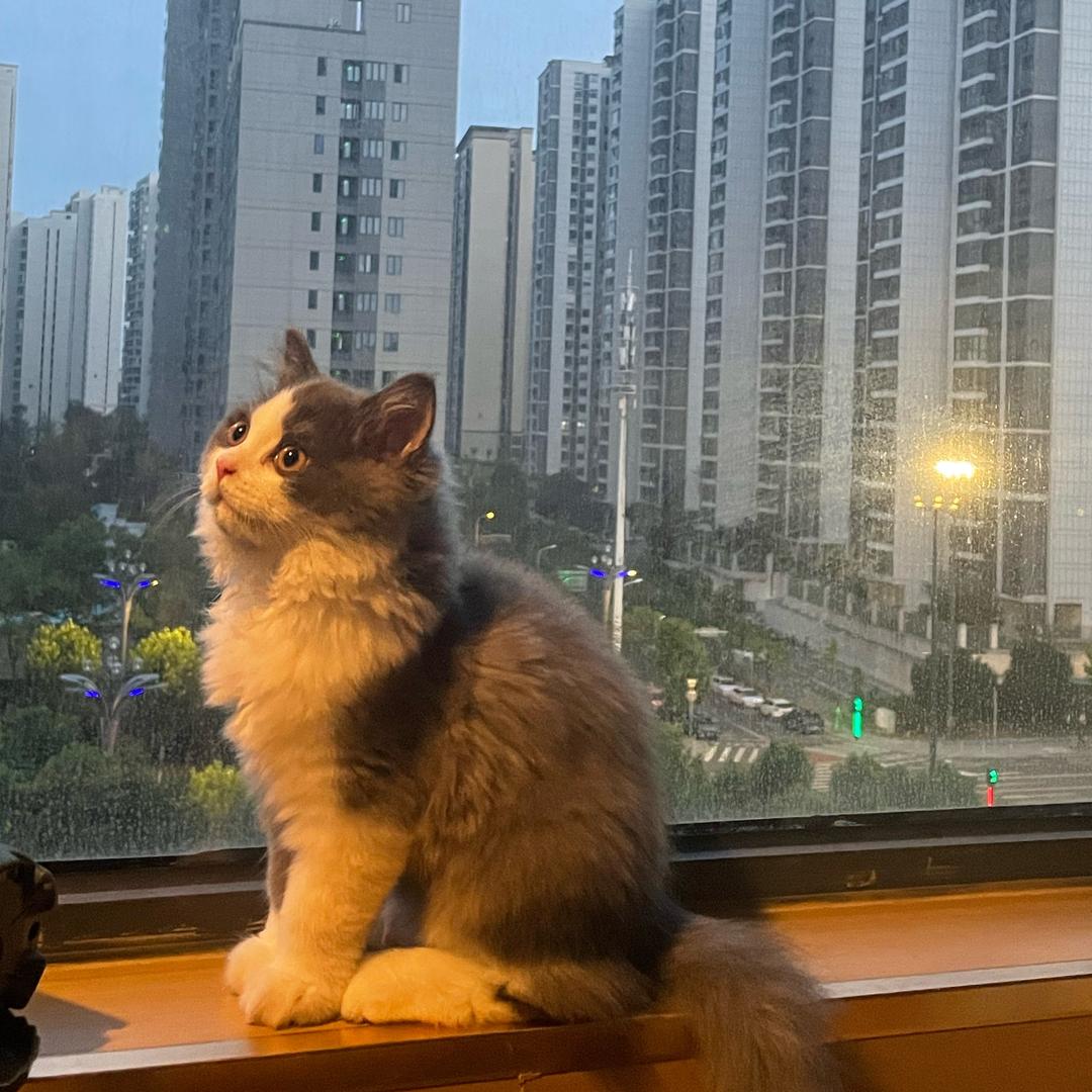 小范同学🙈🥕