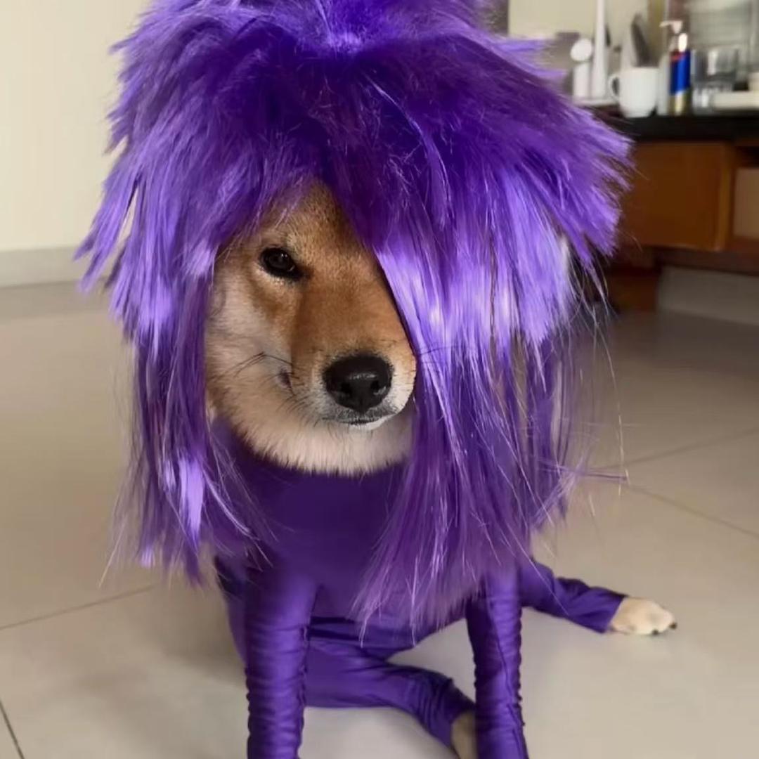 摘花换酒