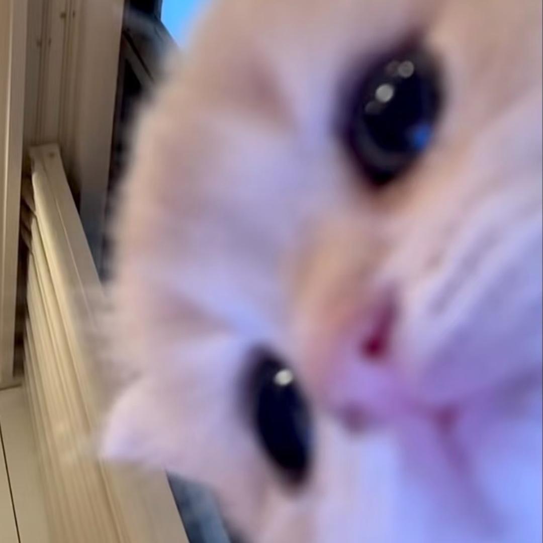 m1ow