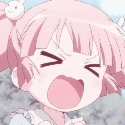 大连肥了个猫