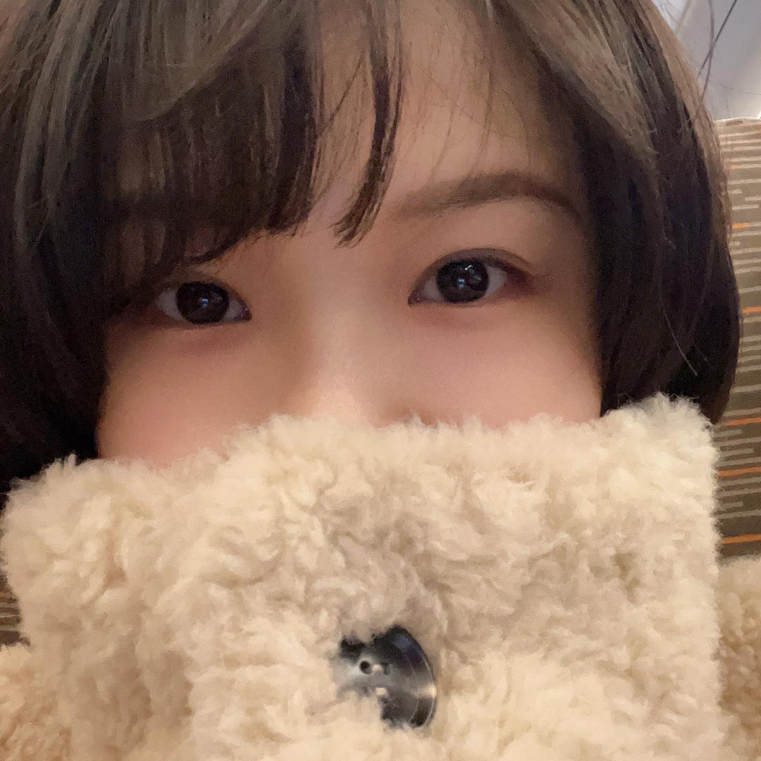 掉进兔子洞