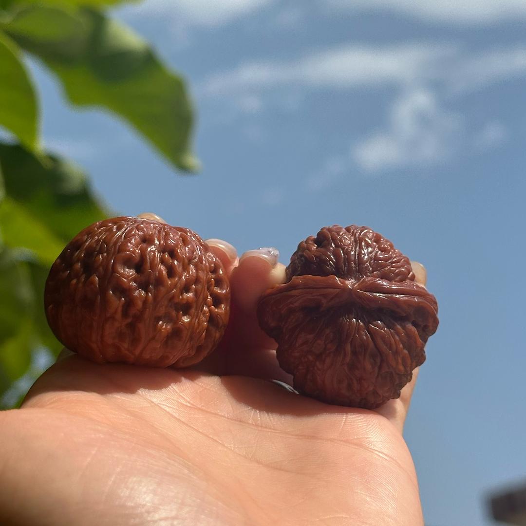 桐桐的核生活