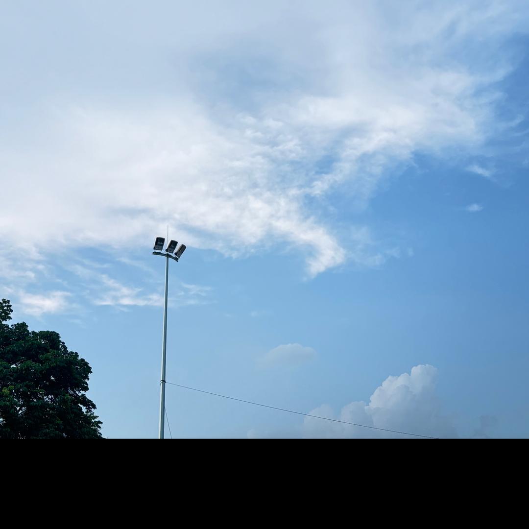 纯情蟑螂火辣辣