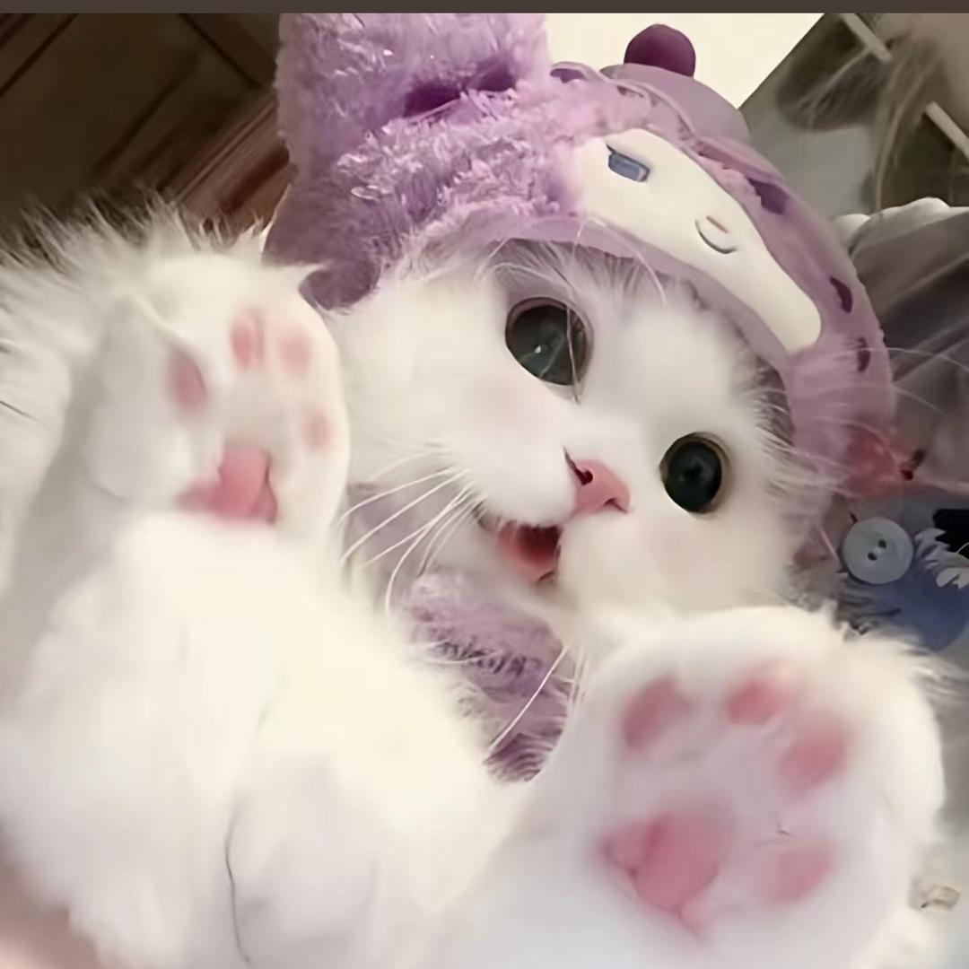 ʚ莓啤汽ɞ
