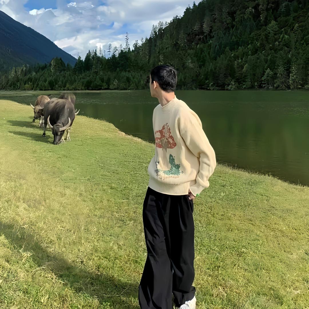 安逸.