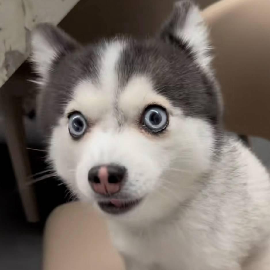 重生之我在广州卖烤红薯