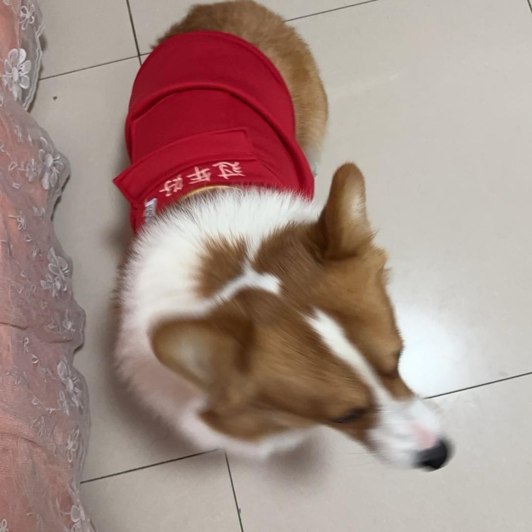 ღ°炫舞互换࿐
