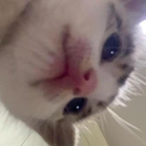 无敌史迪仔大王