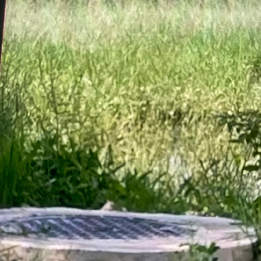 湖北武汉鑫龙瑞福