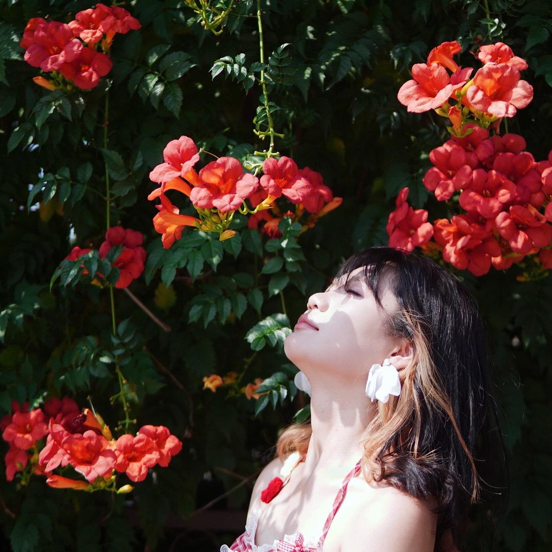 棉花
