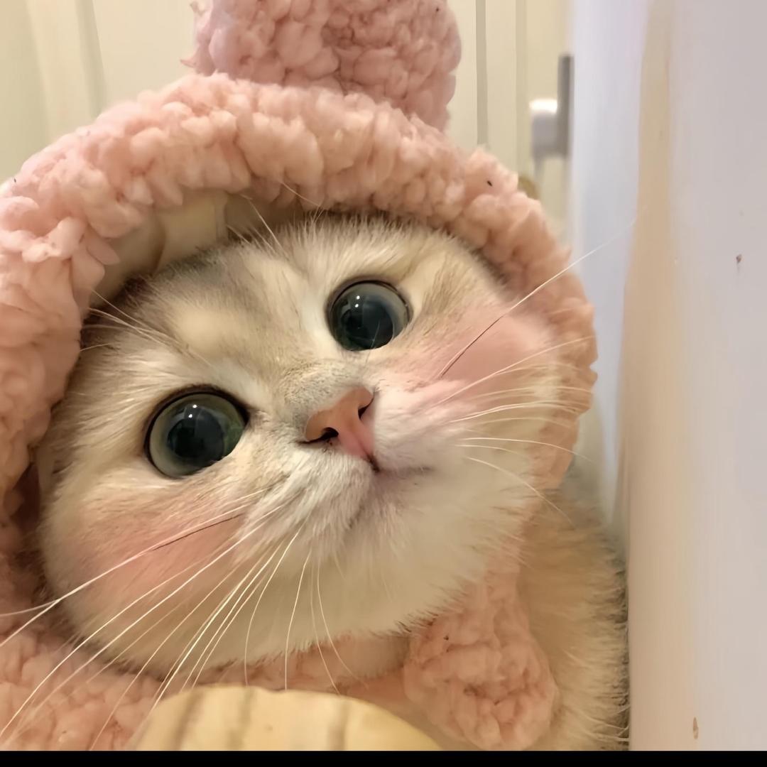 好的爱自己（冷静期）