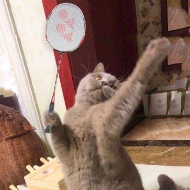 去海边看日落⁸