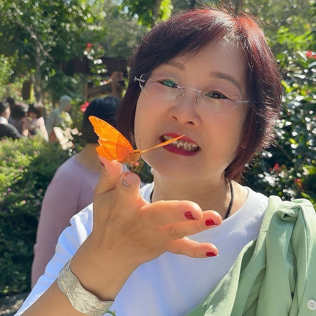 舒鑫