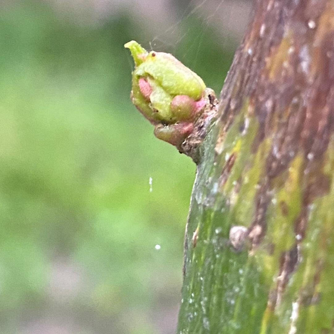 珍惜当下,做好自己