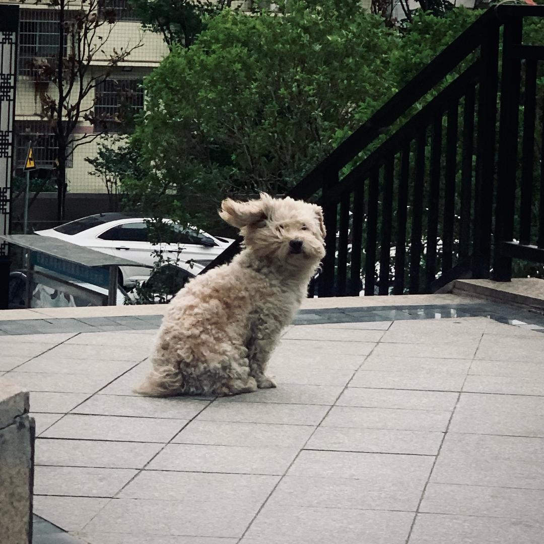 我想休息