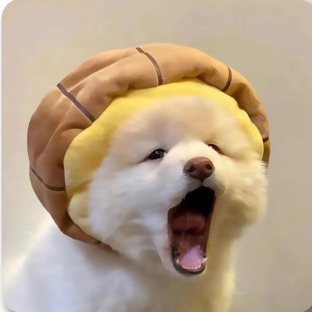ZzzzZz🫧