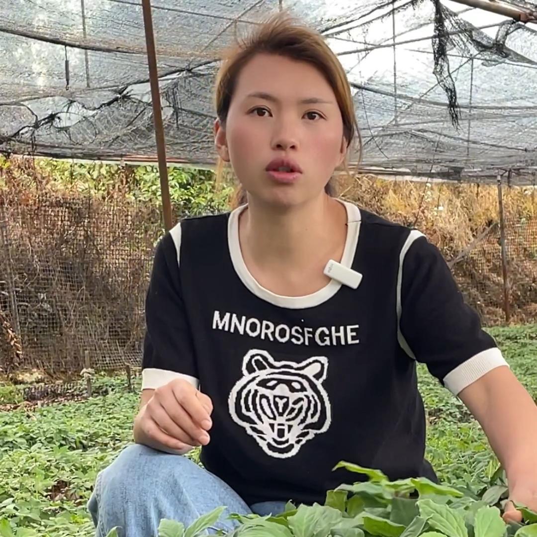 黄小飞的种植园