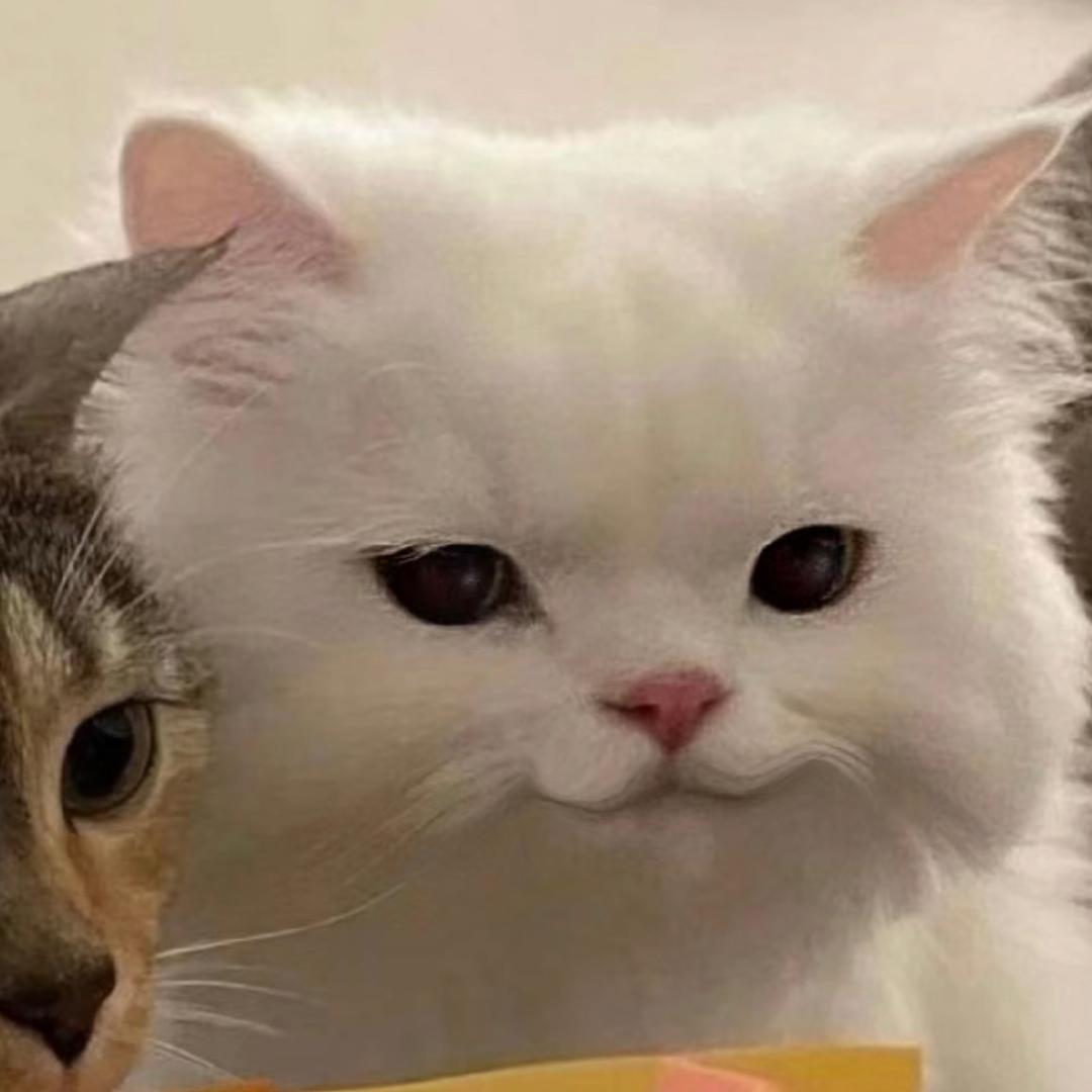 可颂头像