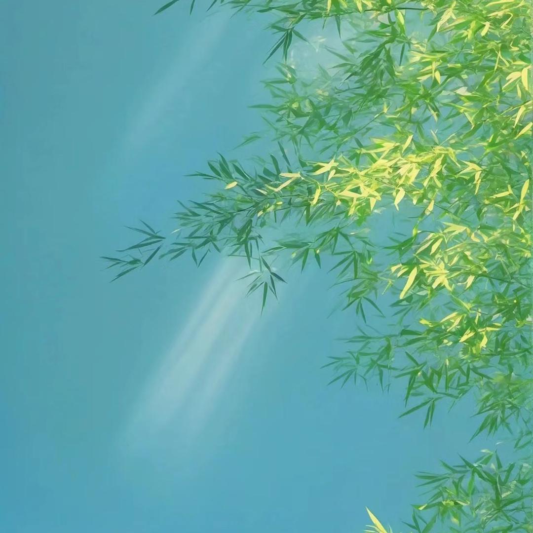 晓隐