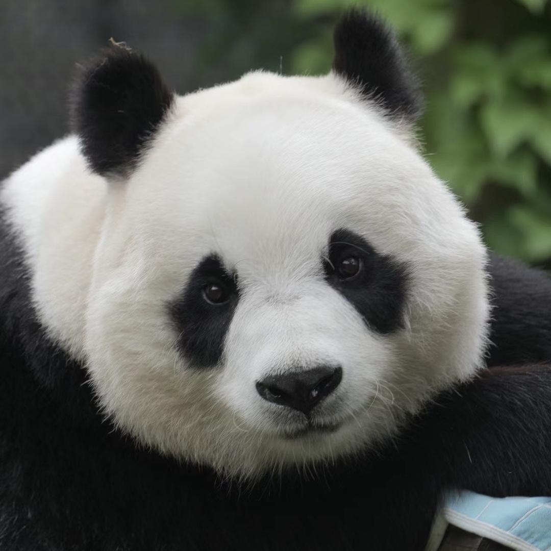 😈邪恶的正义⚔️