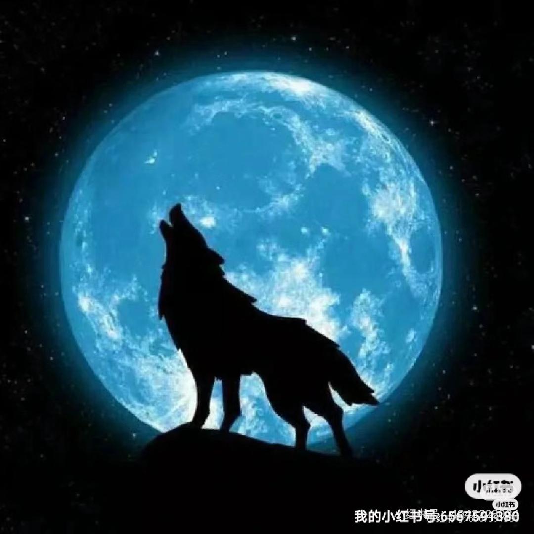 狼王