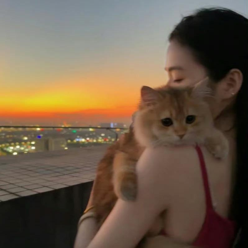爱画画的猫