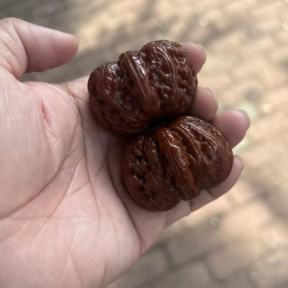 易县宁核轩文玩