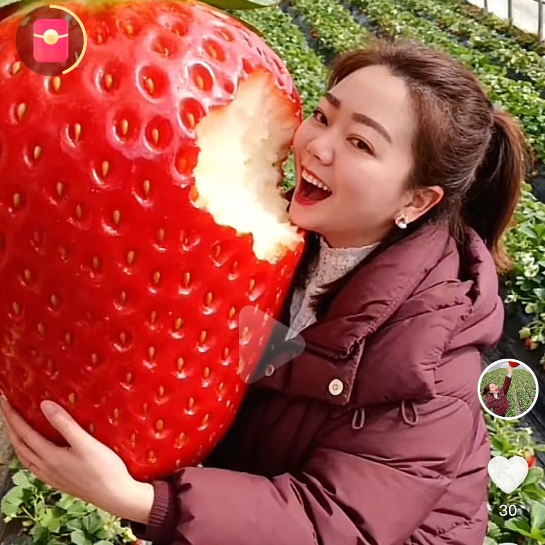 柠檬🍋心酸